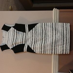 Cato 12 black and white